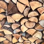 Miedzy Brzozami Pieczarki