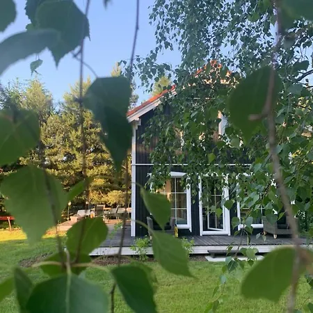 Miedzy Brzozami Pieczarki