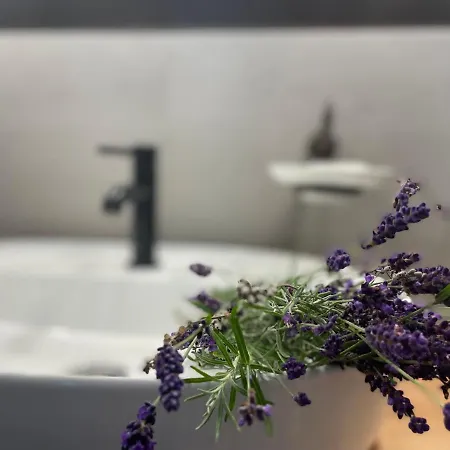 Miedzy Brzozami Pieczarki