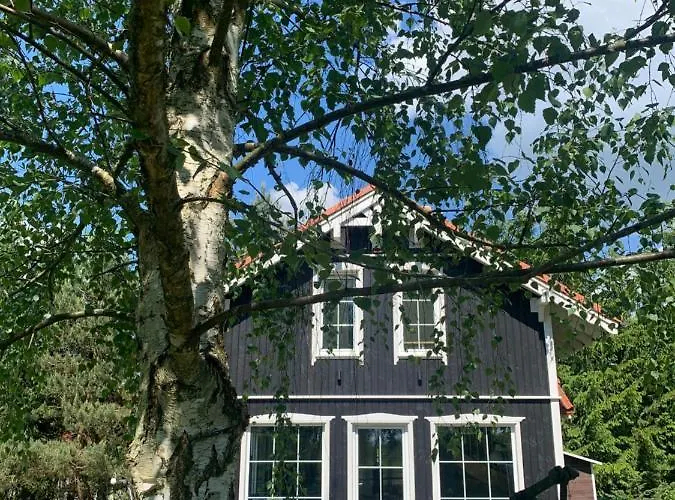 Dom wakacyjny Między Brzozami