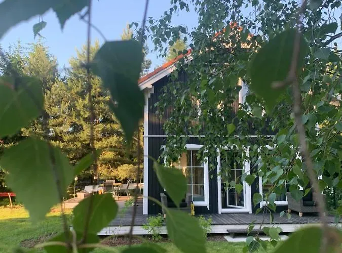 Między Brzozami Pieczarki