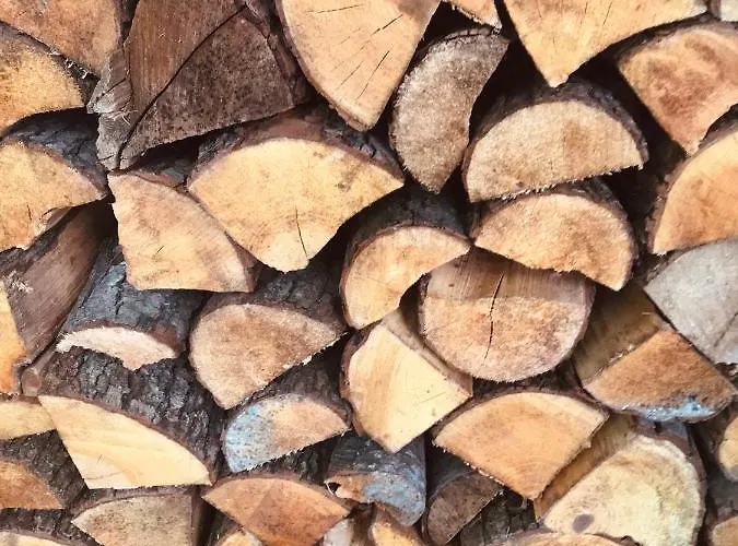 Między Brzozami Pieczarki